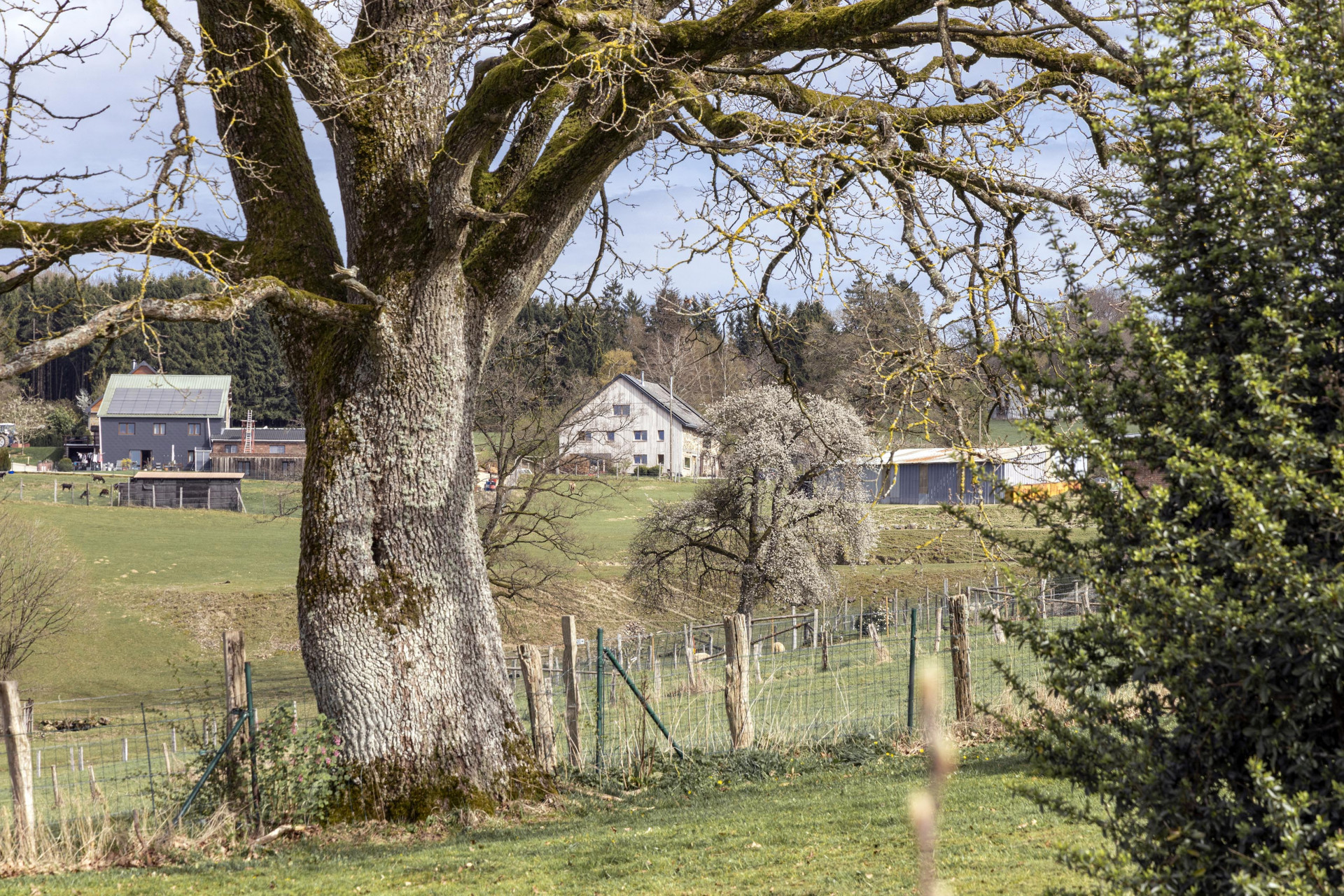 ANC – Transformation d'un corps de logis - photo 8