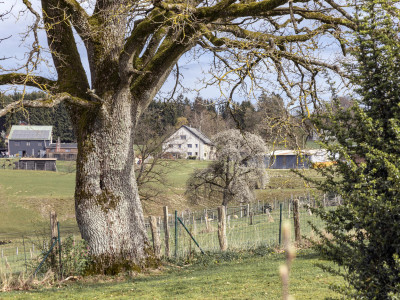 ANC – Transformation d'un corps de logis - photo 31
